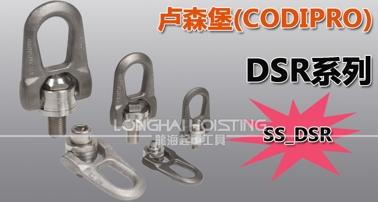 SS.DSR不銹鋼旋轉吊點